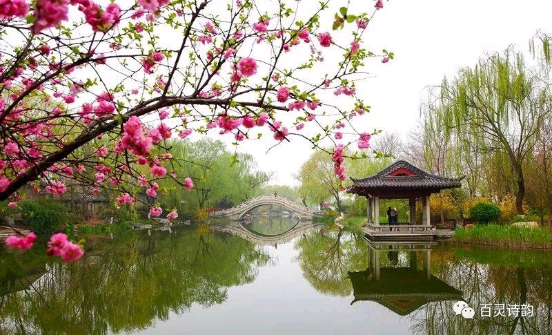 《七律 观无人机春播有怀》(图3)