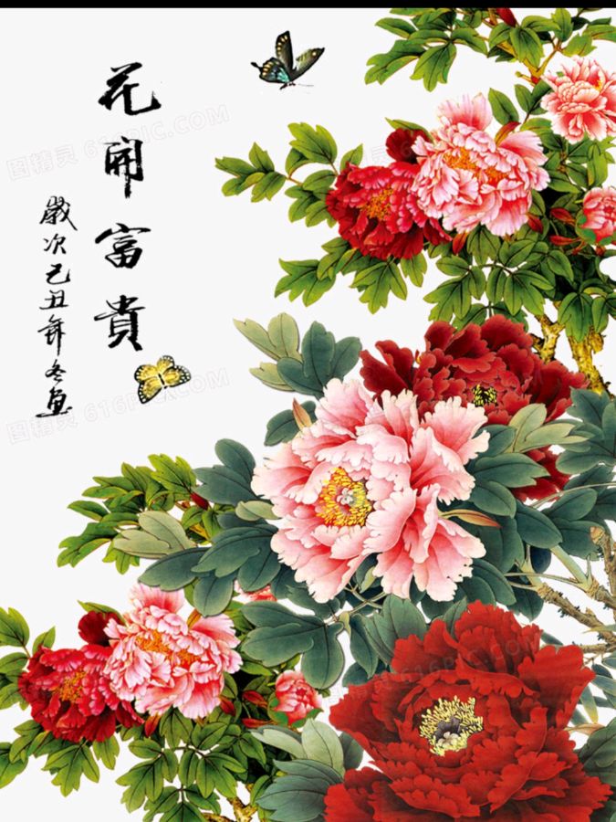 《七律 赏牡丹》诗人：柳鸣（图2）