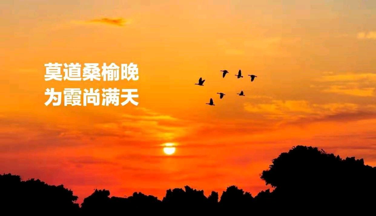 【北京头条】分享优秀作家诗人胡清普《不问年龄不言老 加强学习去“赶考”》请欣赏(图7)
