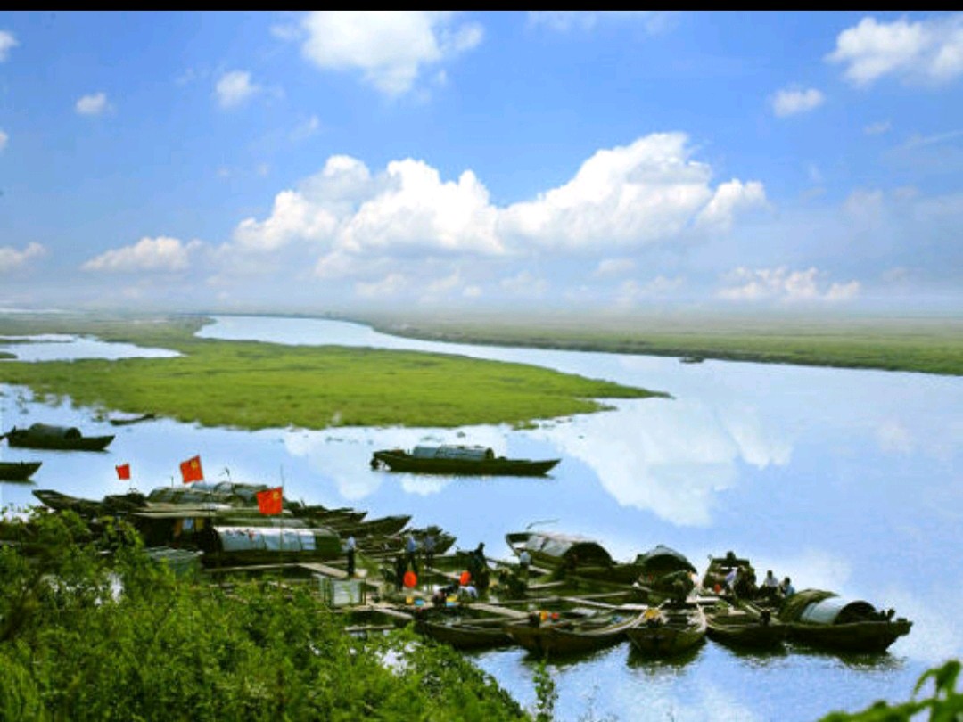 【自由体新诗】《观海遐想》作者：郑金波（图2）