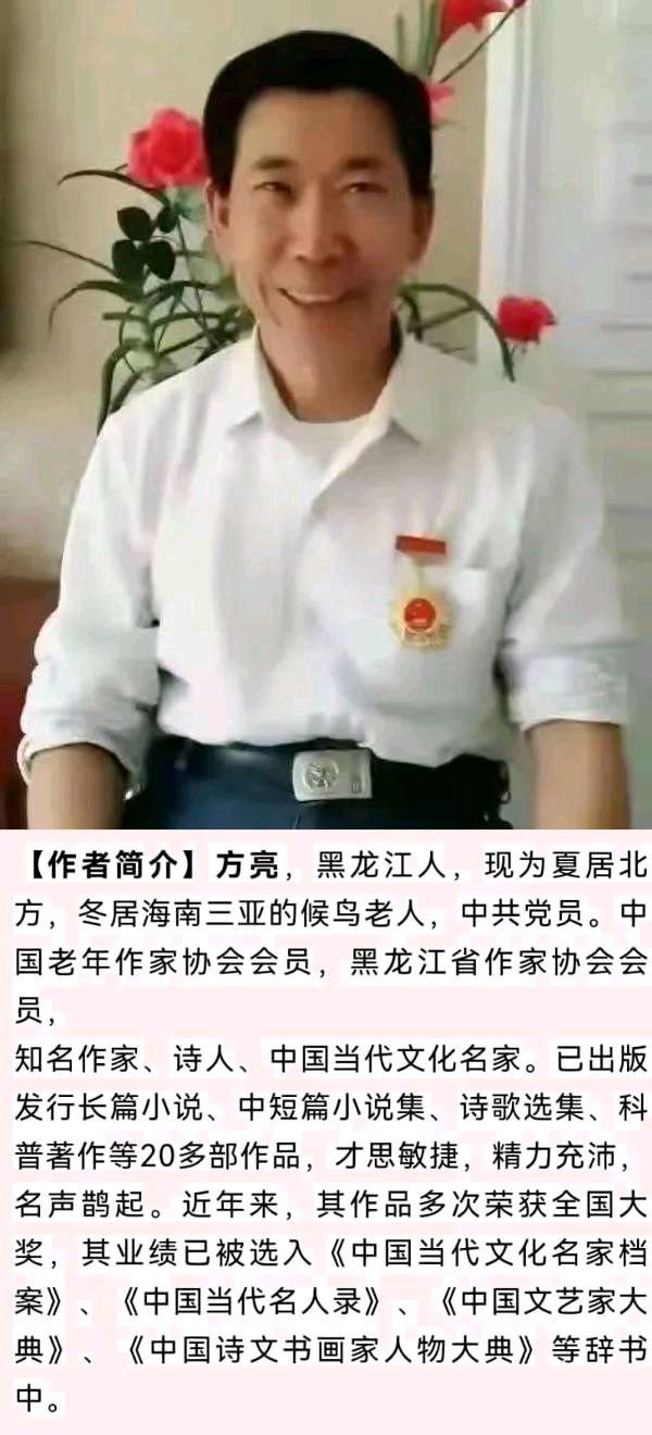 【北京头条】分享优秀作家诗人方亮老师《追忆三亚湾》请欣赏（图8）