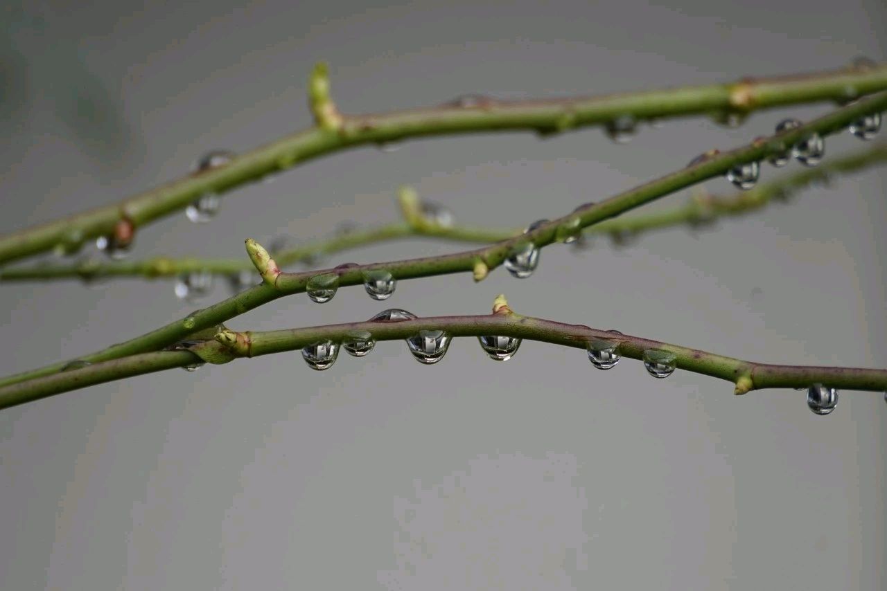 【诗词鉴赏】 穆秀生词集（六）（图5）