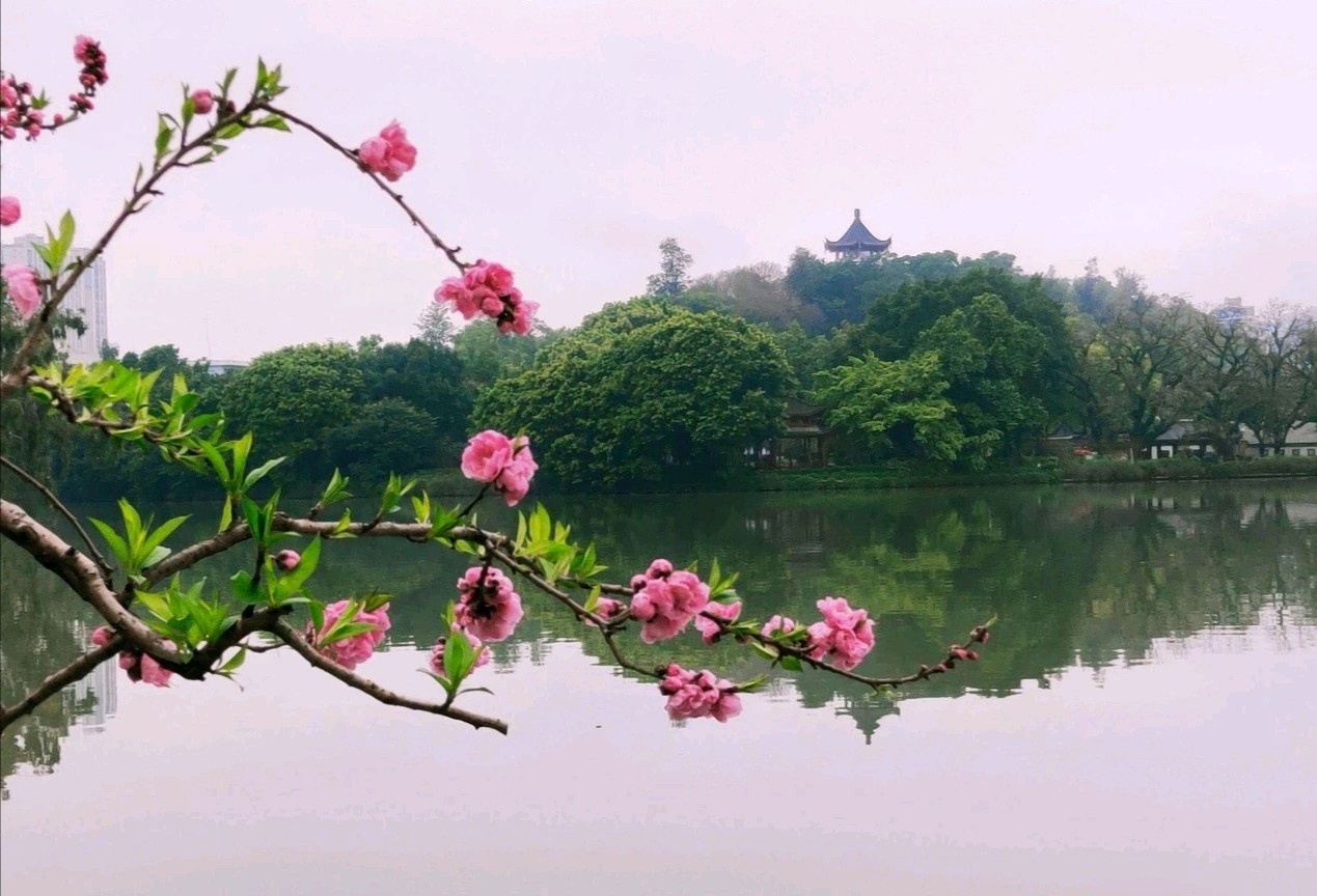 【诗词鉴赏】 穆秀生词集（六）（图4）