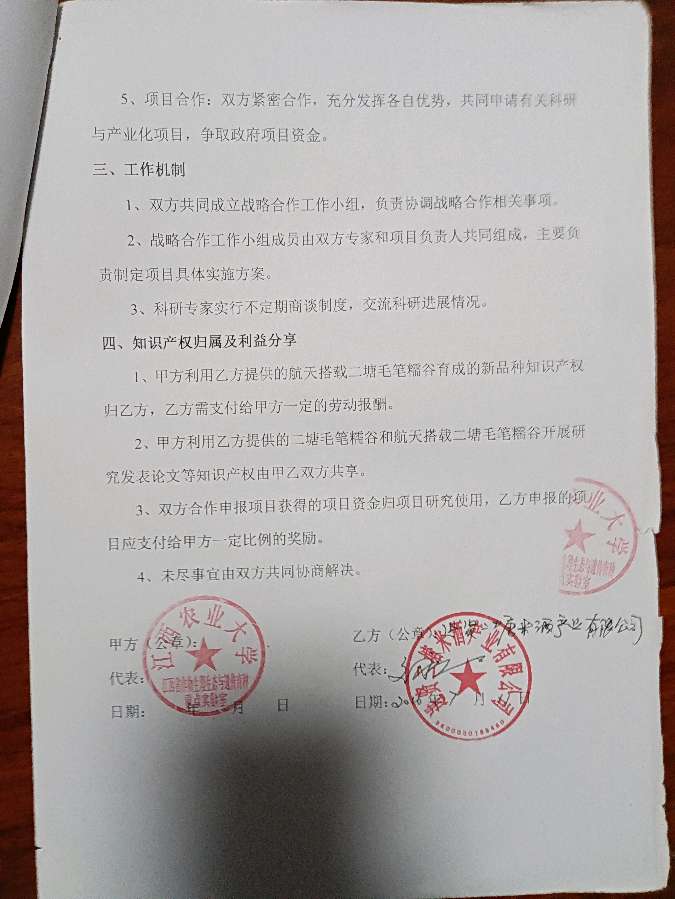 赣航糯1号横空出世!!!【雅诗总会】(图29)