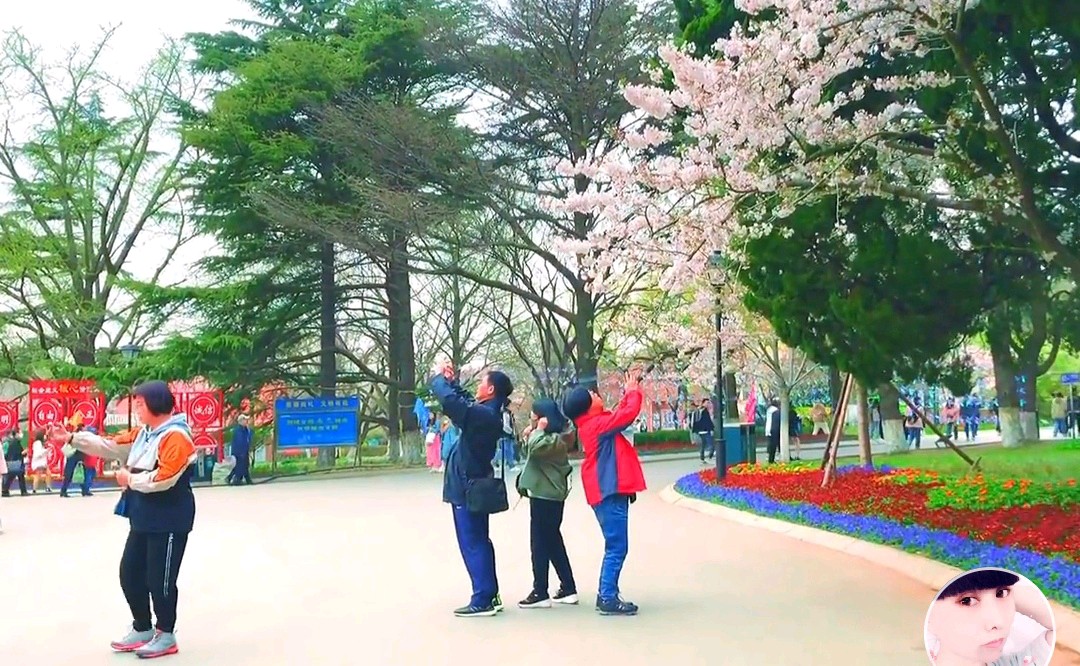 【北京头条】分享(内蒙古)优秀诗人马玉珂《七绝•春日感怀》外一首请欣赏(图4)