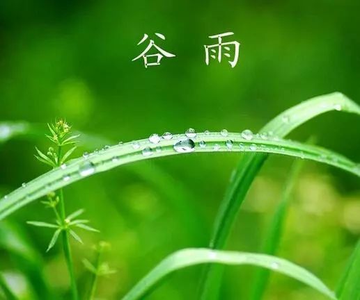 【名家精品】4月20日家中读谷雨诗 文/周崇民(图3)
