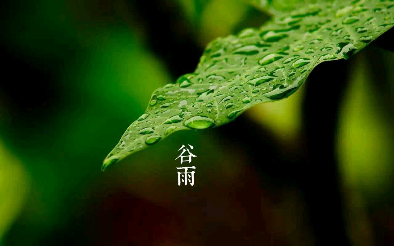 【诗词鉴赏】古风•谷雨（外五首）文/杨忠昌（图3）