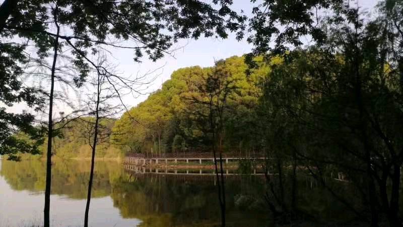 现代诗·乡里乡亲——文／南方——【中国诗人】征稿——都市头条（图3）
