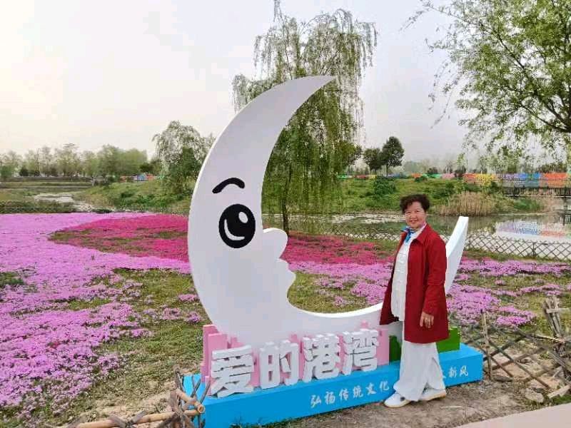 精美藏头诗欣赏之七十三‖作者:白莲/腊梅（图11）