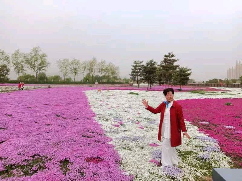 精美藏头诗欣赏之七十三‖作者:白莲/腊梅（图7）