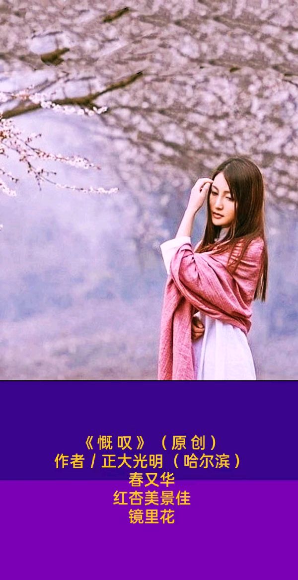 题图微汉俳一组 花感 （原创）《慨叹》《陶然》《怅然》作者：正大光明（哈尔滨）（图2）