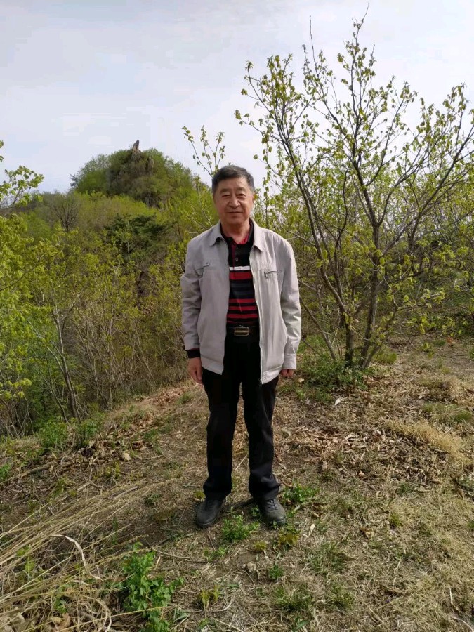 薛 礼台/线连石