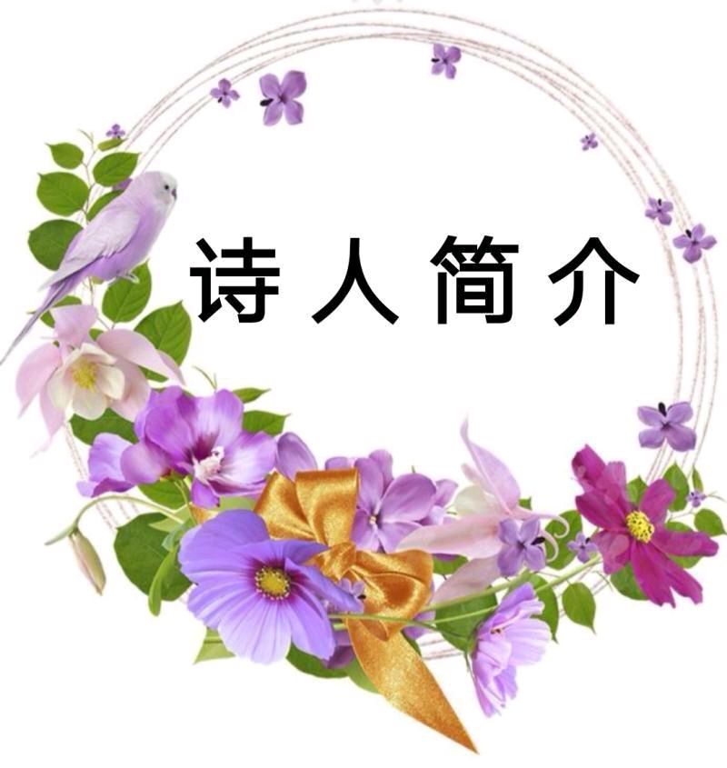 【齐鲁风】分享优秀作家诗人方亮老师《亮剑斗宝》请欣赏（图7）