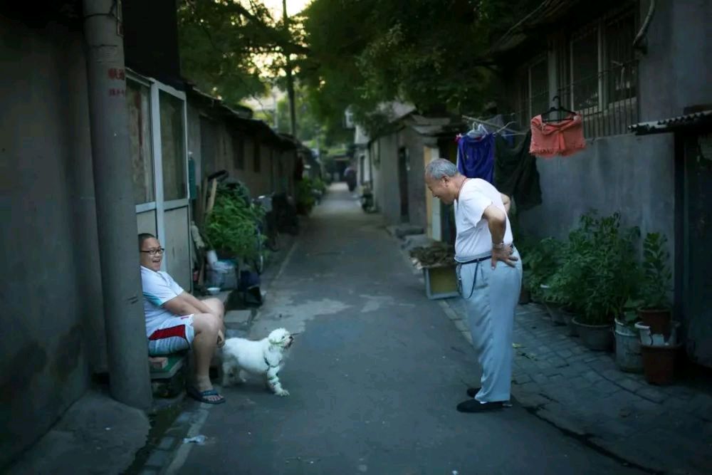 【北京头条】分享优秀作家诗人方亮老师《北京大杂院》请欣赏（图7）