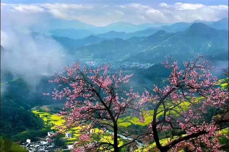 【原创首发】散文《桃花湾》作家：铁裕（图2）