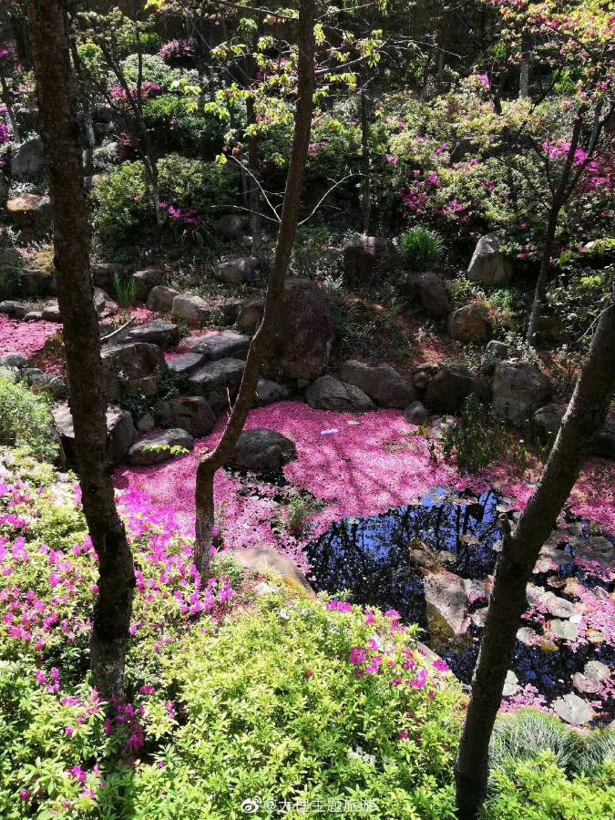 《七律 落花思亲》作者：吴云钦（图3）