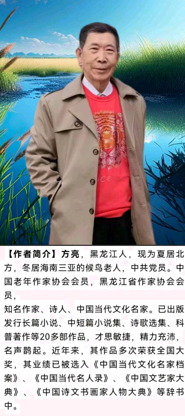【齐鲁风】分享优秀作家诗人方亮老师《国家情怀》请欣赏（图9）