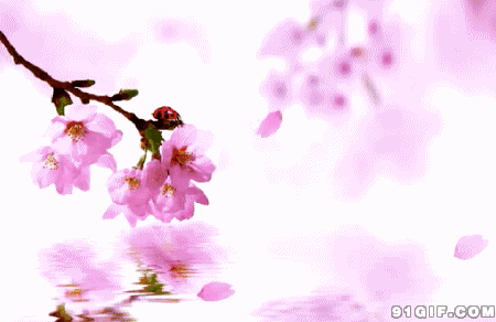 【神都诗社】第052期《嵌句“一片花飞减却春”》（图16）