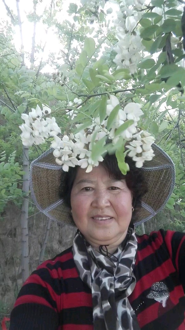 精美藏头诗欣赏之七十四【雅诗总会】（图19）