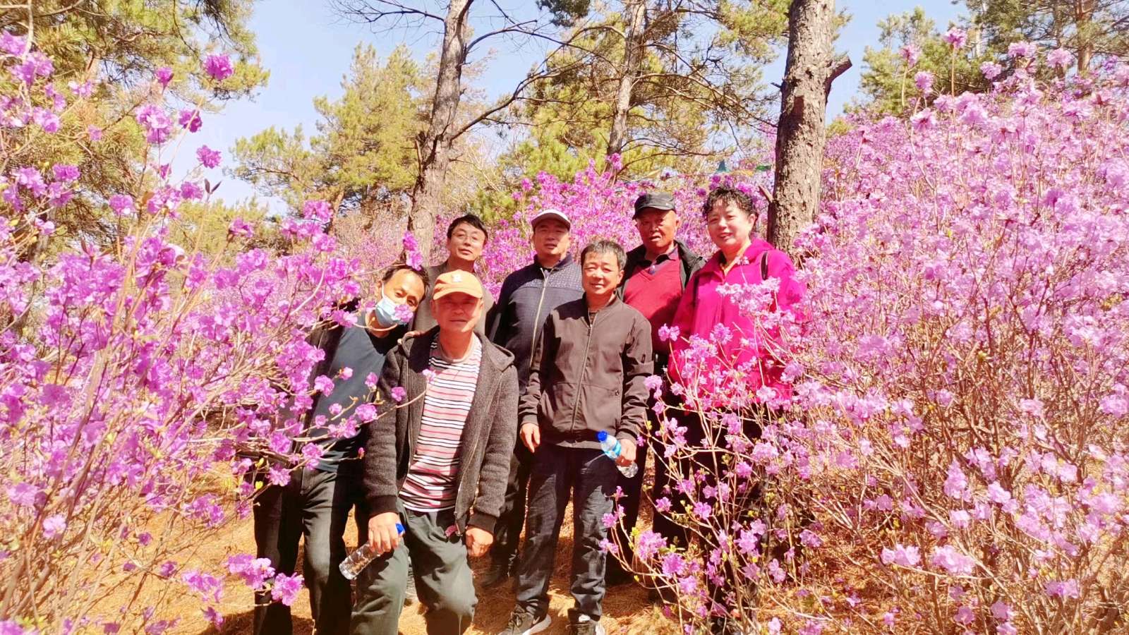 【北京头条】分享（黑龙江）笑谈人生《朋友登山感言》请欣赏（图5）