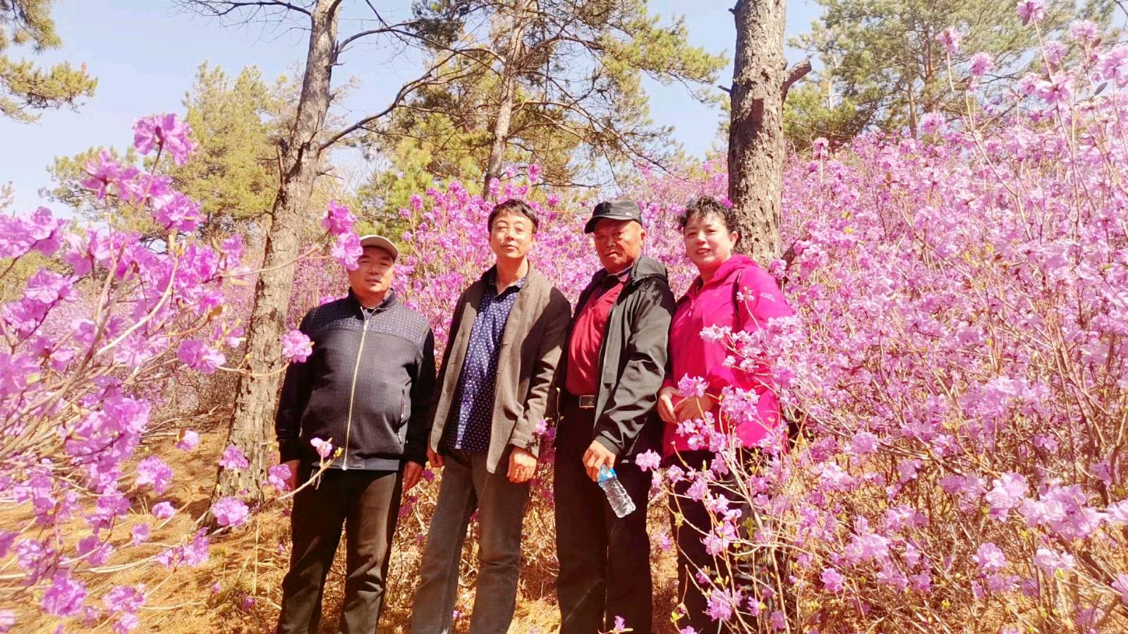 【北京头条】分享（黑龙江）笑谈人生《朋友登山感言》请欣赏（图4）