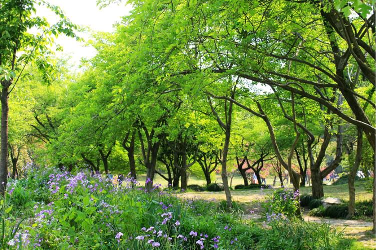 【齐鲁风】分享沈沛忠《庆祝劳动节》外四首请欣赏(图8)