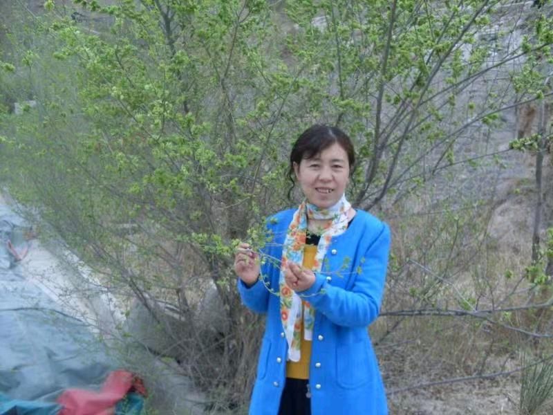 《冶海》——文/碧荷田田(甘肃)——【中国诗人】征稿——都市头条(图3)