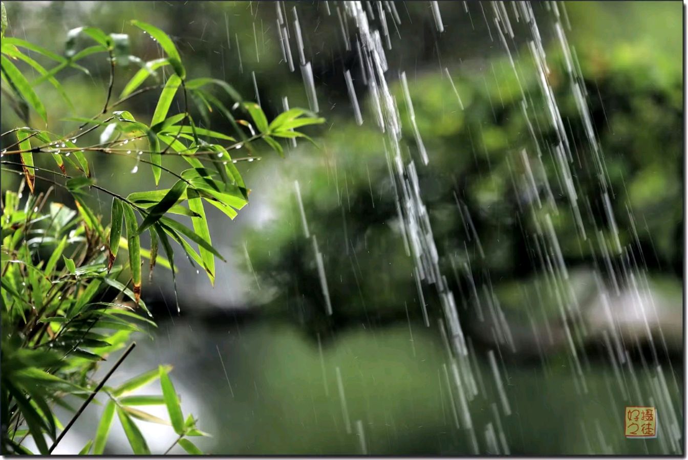 《七律 时雨》作者:魏周全（图2）