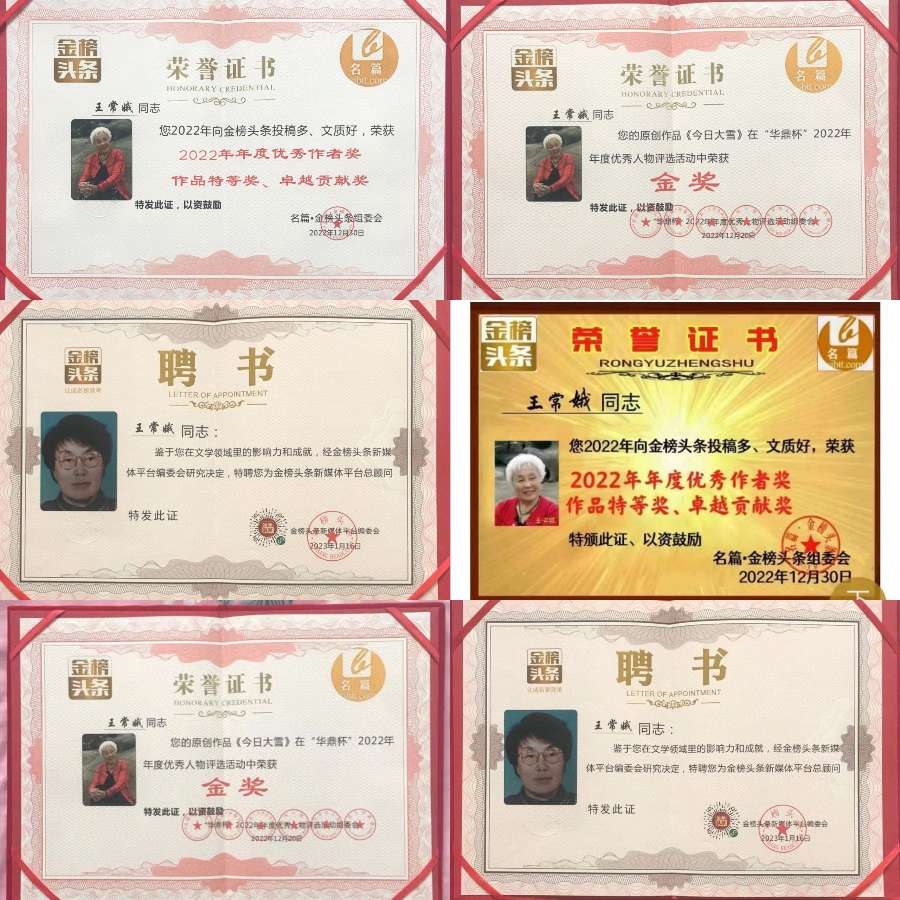 【齐鲁风】分享优秀作家诗人王常娥《有爱的城市》请欣赏（图10）