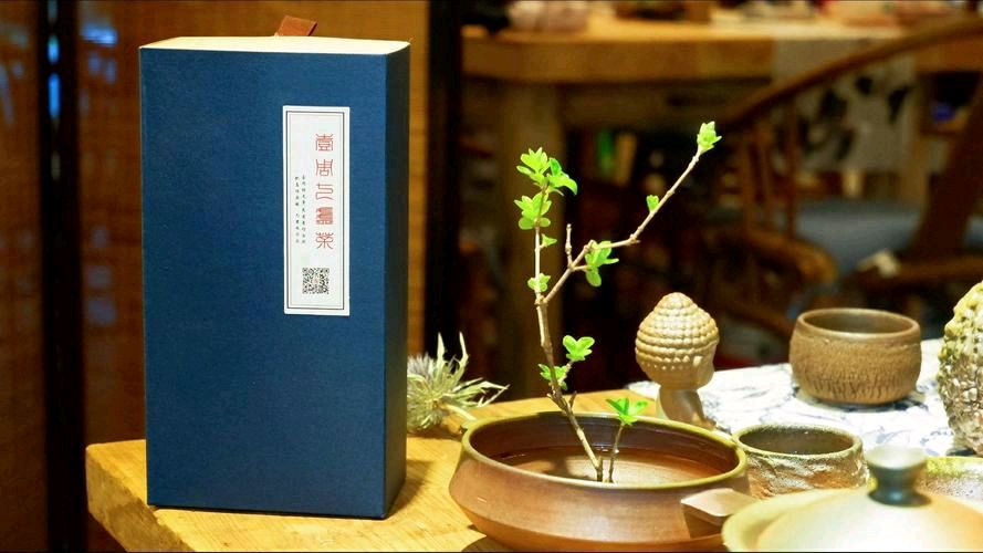 【自由体新诗】《夏之烦恼》作者:郑金波（图5）