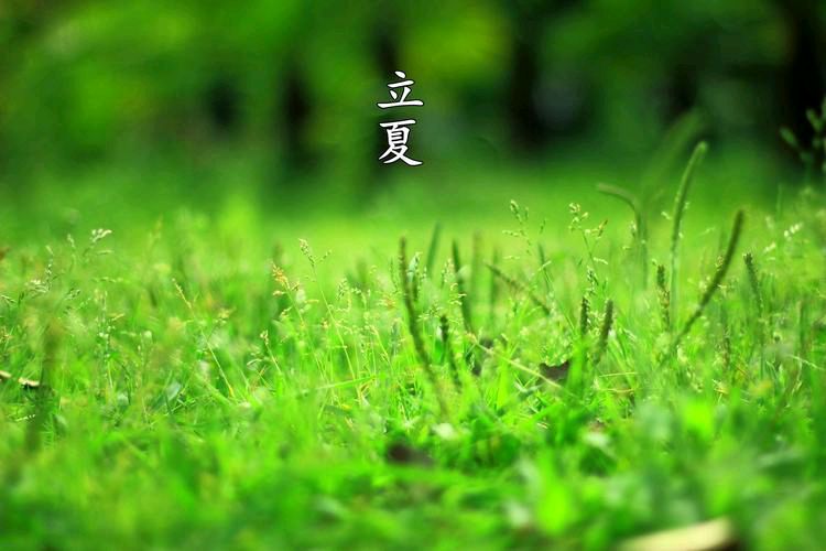 【北京头条】分享优作家诗人姚树学散文《立夏》请欣赏(图7)