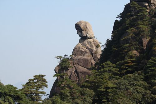 【齐鲁风】分享优秀诗人牟福香老师七律三首请欣赏（图6）