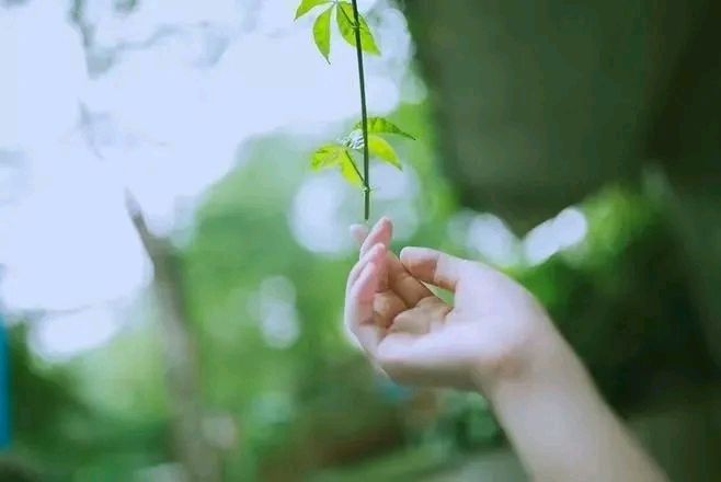 【名家精品】井（外三首）文/冯金岩（图6）