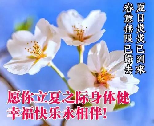【诗词鉴赏】七律•立夏 （外三首）文/武军（图6）
