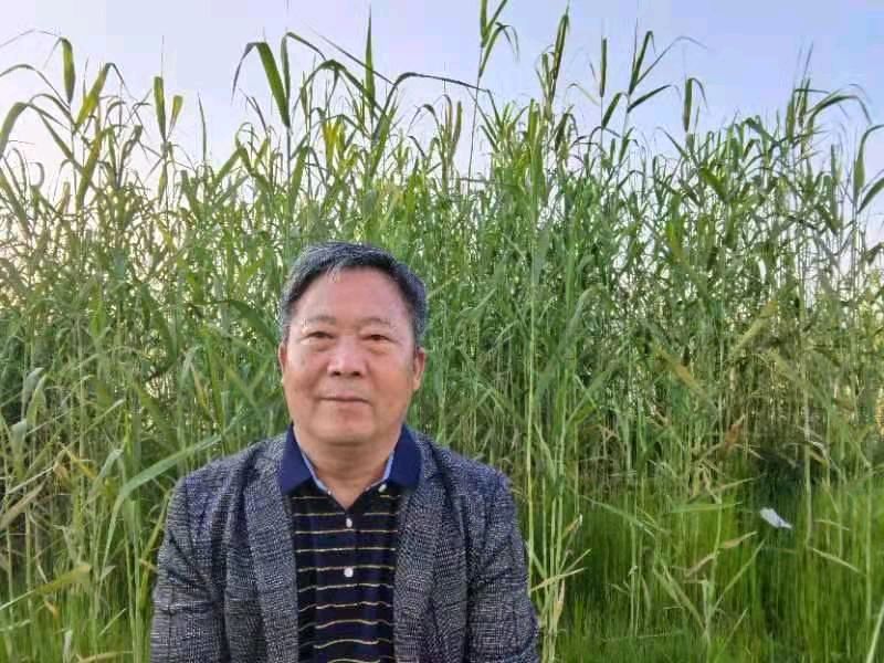 【北京头条】分享（江苏）优秀诗人方少春老师《七律•梅花颂（之七》请欣赏（图18）