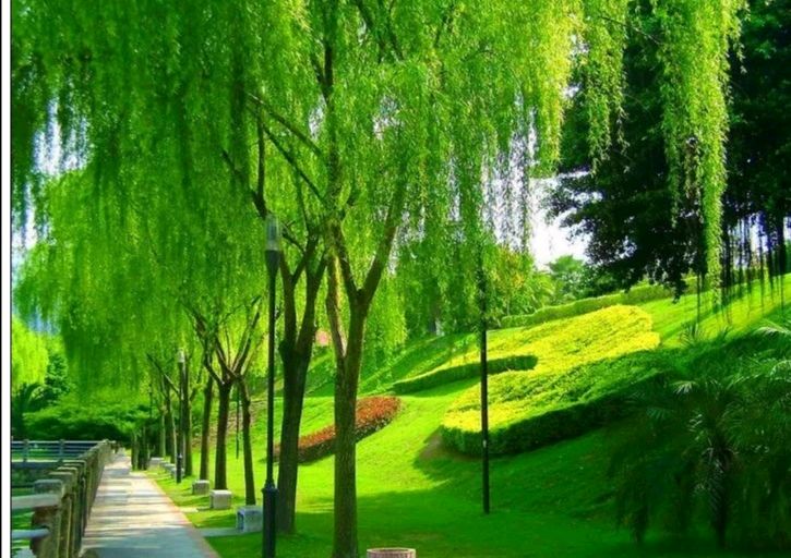 【七律】五月风光（三首）文/武军（图3）