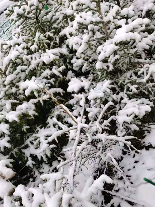 【北京头条】分享优秀作家诗人崔怀强《七绝•雪域华国堂果洛挖草记行》(图8)