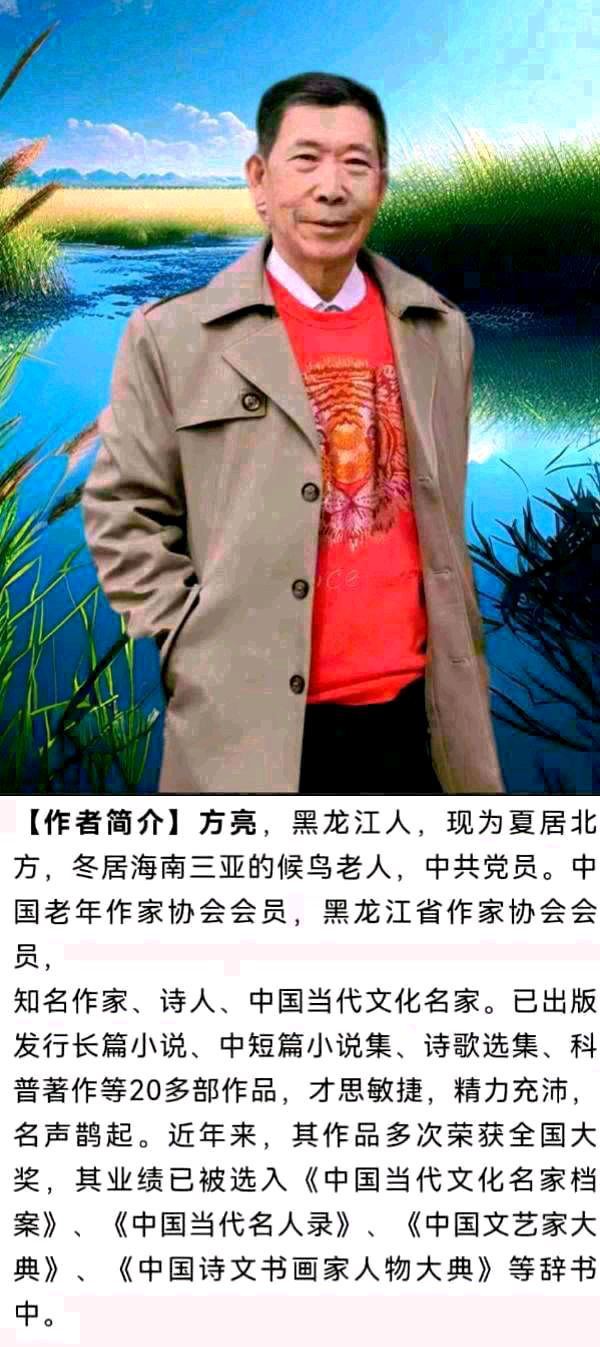 【北京头条】分享优秀作家诗人方亮老师《历史在开玩笑》请欣赏（图8）