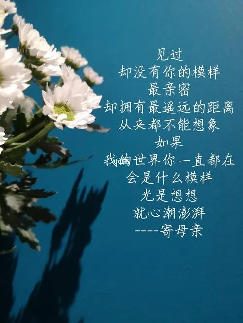 七绝二首《母亲节念母》作者:王发军（山东）（图4）