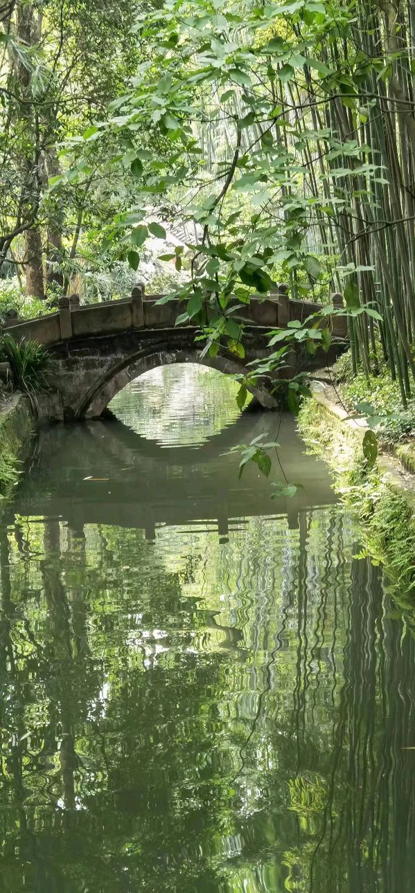 【北京头条】分享（四川）优秀诗人灯火阑珊老师《《小桥流水吟》一一游草堂寺即兴（原创）（图7）