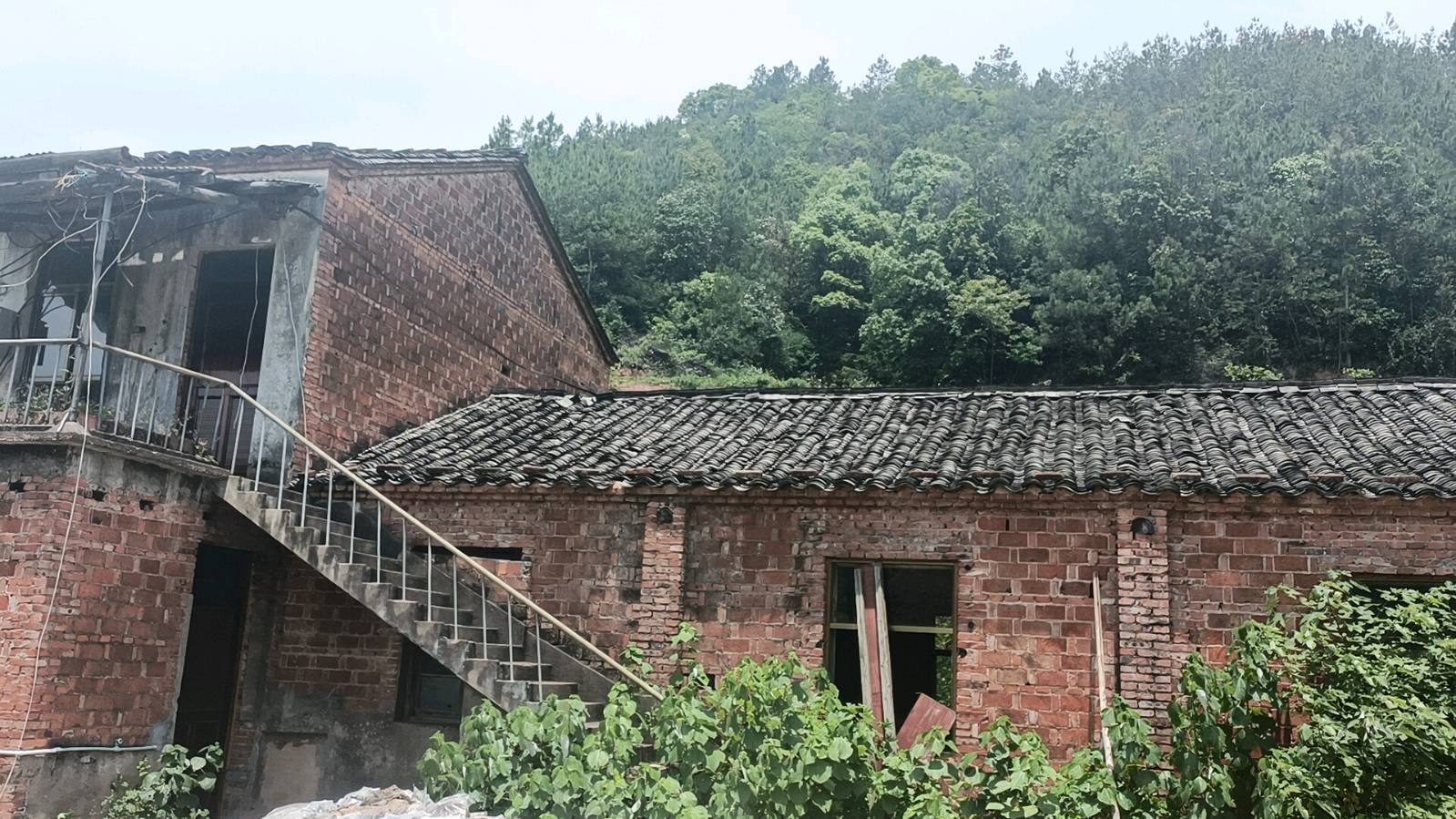 太空一粒米联合中构农业科技落户衢州龙游【雅诗总会】（图12）