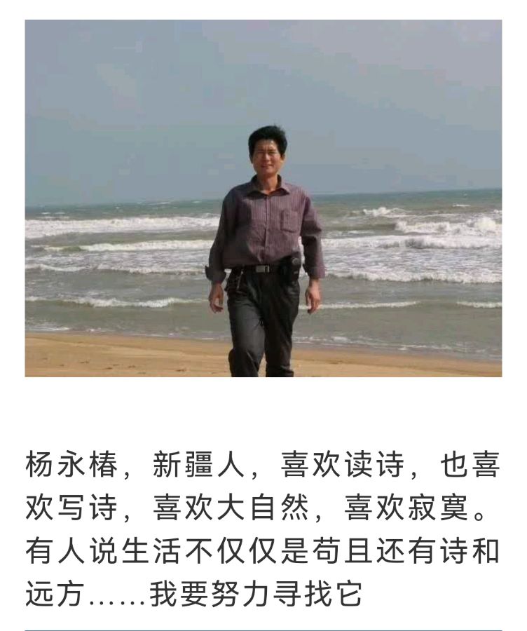 【齐鲁风】推介杨咏椿《这束花》外两首请欣赏（图12）