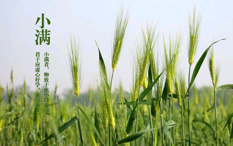 【齐鲁风】推介（本溪）优秀诗人（山风）冯其兰《小满》二首请欣赏（图5）