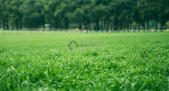 【都市头条】分享优秀作家诗人方亮老师《初夏》请欣赏（图7）