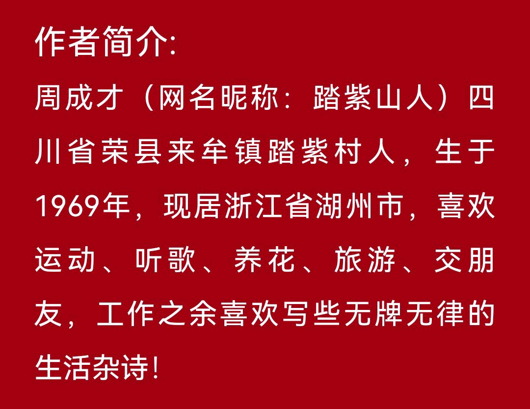 【齐鲁风】推介踏紫山人《祝妈妈生日快乐》请欣赏（图11）