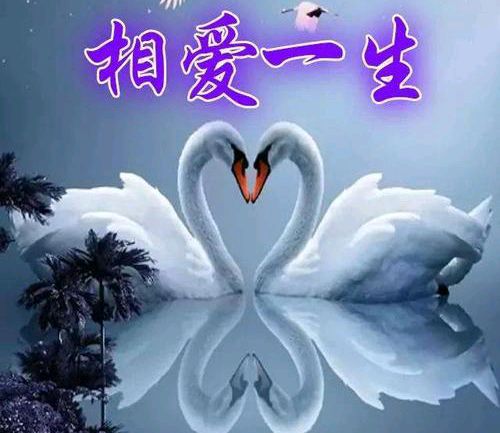 【都市头条】推介优秀作家诗人方亮老师《心境》请欣赏（图7）