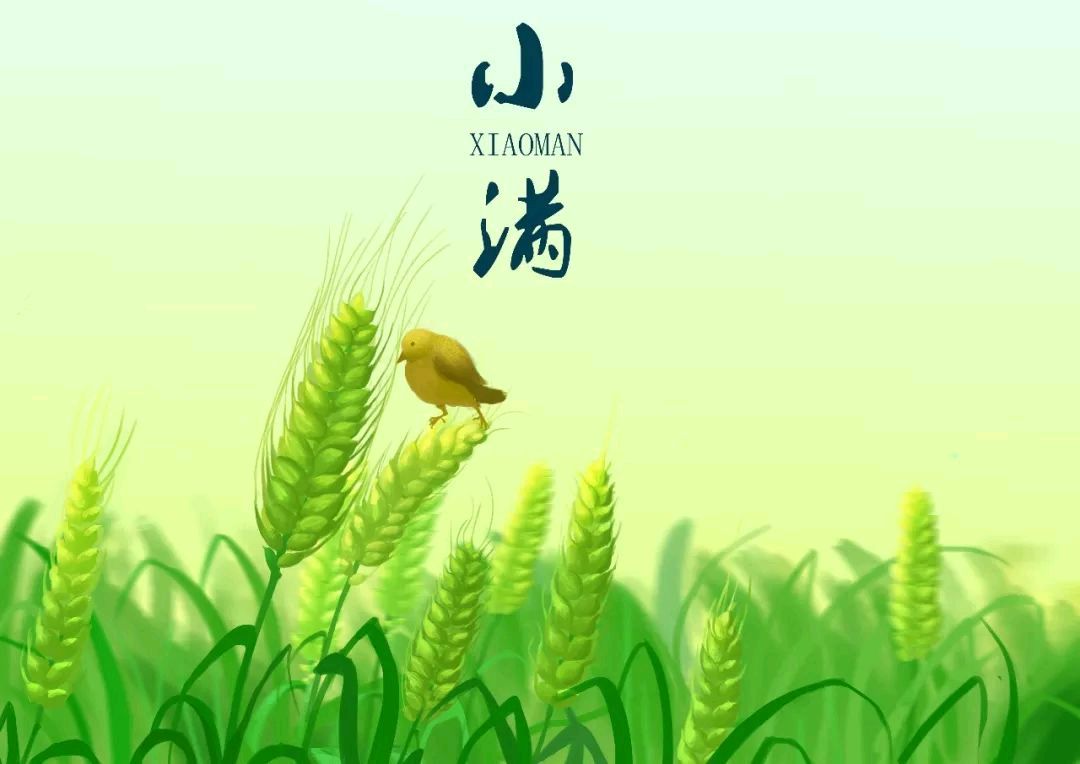 【诗词鉴赏】小满赋（外六首）文/杨忠昌（图4）