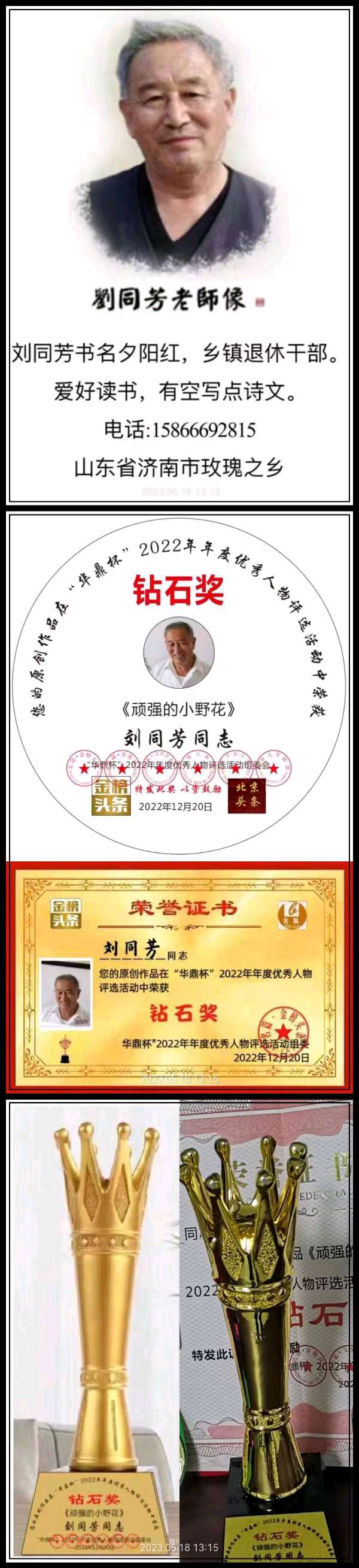 【都市头条】推介刘同芳诗三首请欣赏（图9）