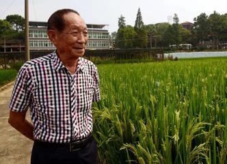 【齐鲁风】推介优秀诗人雷金钟老师《悼袁隆平院士》请关注(图4)