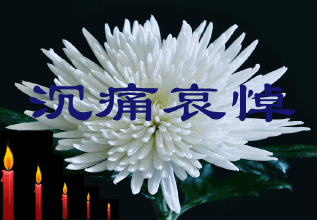 【齐鲁风】推介优秀诗人雷金钟老师《悼袁隆平院士》请关注(图3)